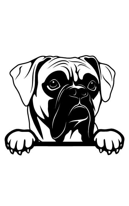 Боксер 1
